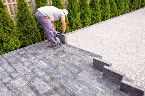 Best Driveway Pavers Near Me  in Trinity, FL