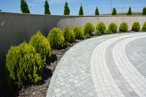 Professional Driveway Pavers in Trinity, FL