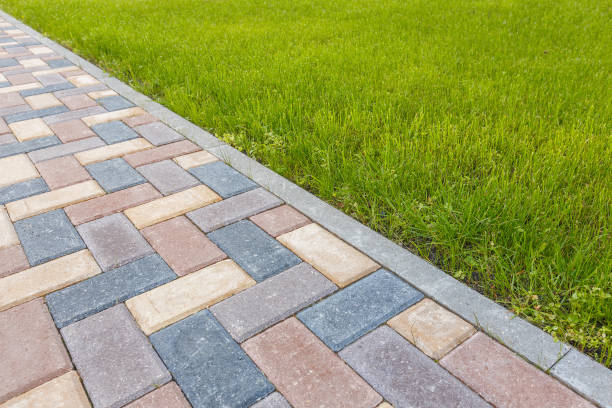 Professional Driveway Pavers in Trinity, FL